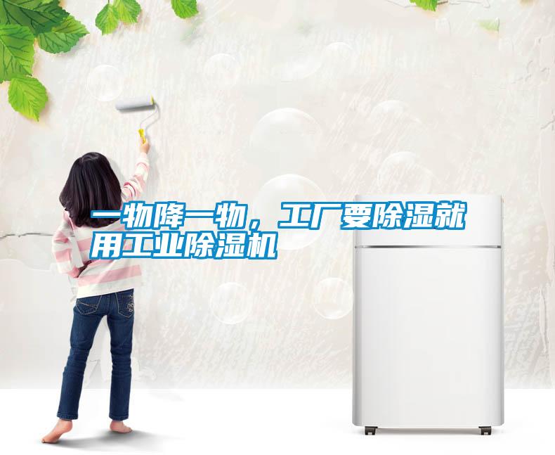 一物降一物，工廠要除濕就用工業(yè)除濕機