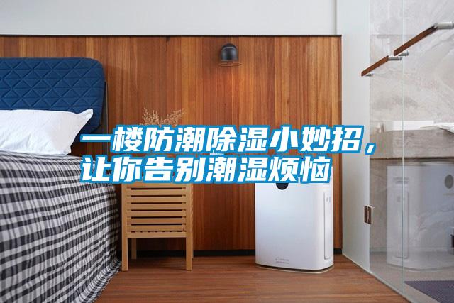 一樓防潮除濕小妙招，讓你告別潮濕煩惱
