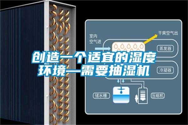 創(chuàng)造一個(gè)適宜的濕度環(huán)境—需要抽濕機(jī)