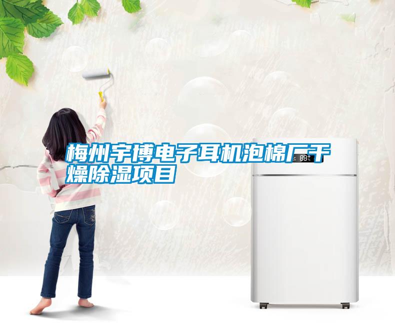 梅州宇博電子耳機(jī)泡棉廠(chǎng)干燥除濕項(xiàng)目