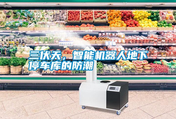 三伏天，智能機器人地下停車庫的防潮