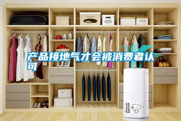 產(chǎn)品接地氣才會被消費者認可