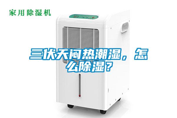 三伏天悶熱潮濕，怎么除濕？