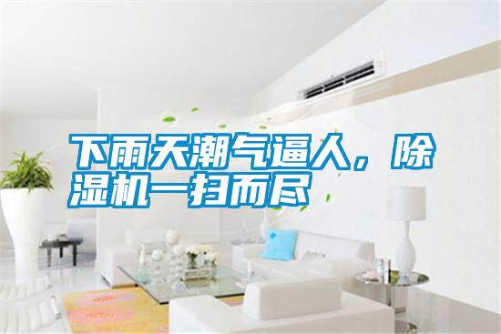 下雨天潮氣逼人，除濕機(jī)一掃而盡