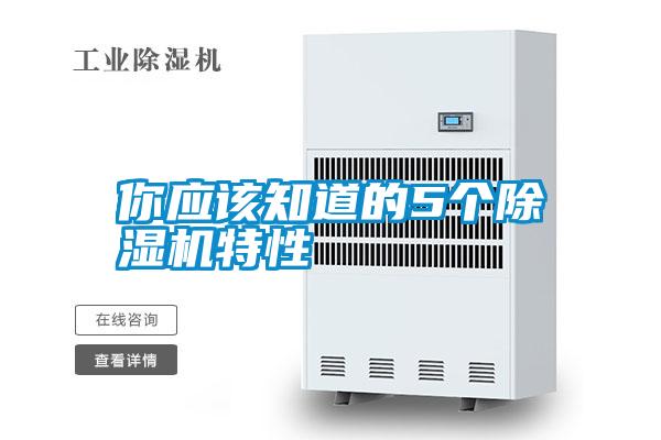 你應該知道的5個除濕機特性