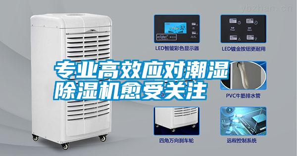 專業(yè)高效應(yīng)對(duì)潮濕 除濕機(jī)愈受關(guān)注