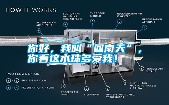 你好，我叫“回南天”，你看這水珠多愛我！