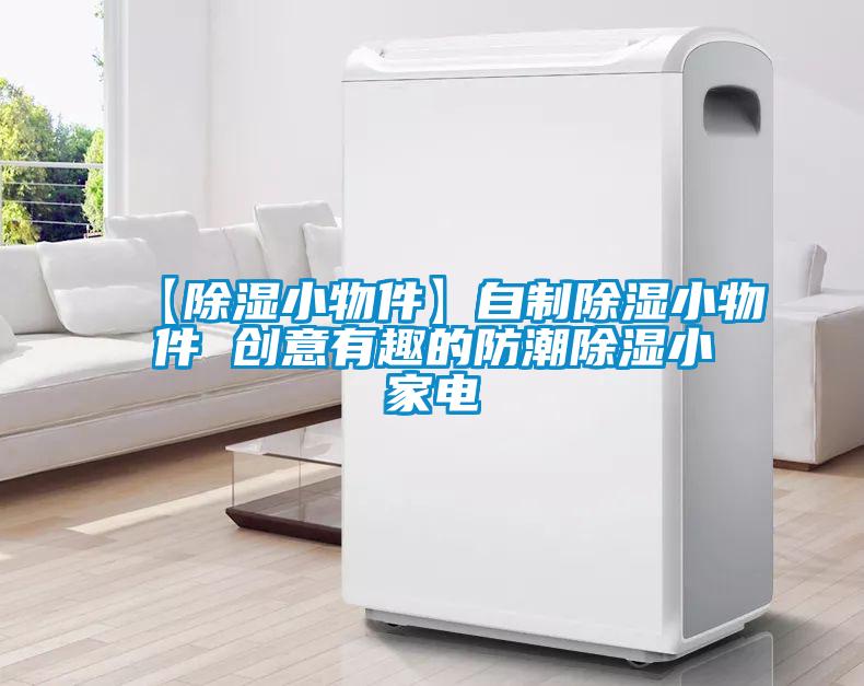 【除濕小物件】自制除濕小物件 創(chuàng)意有趣的防潮除濕小家電