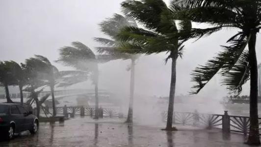 8月臺(tái)風(fēng)雨即將來，除濕機(jī)還得用起來