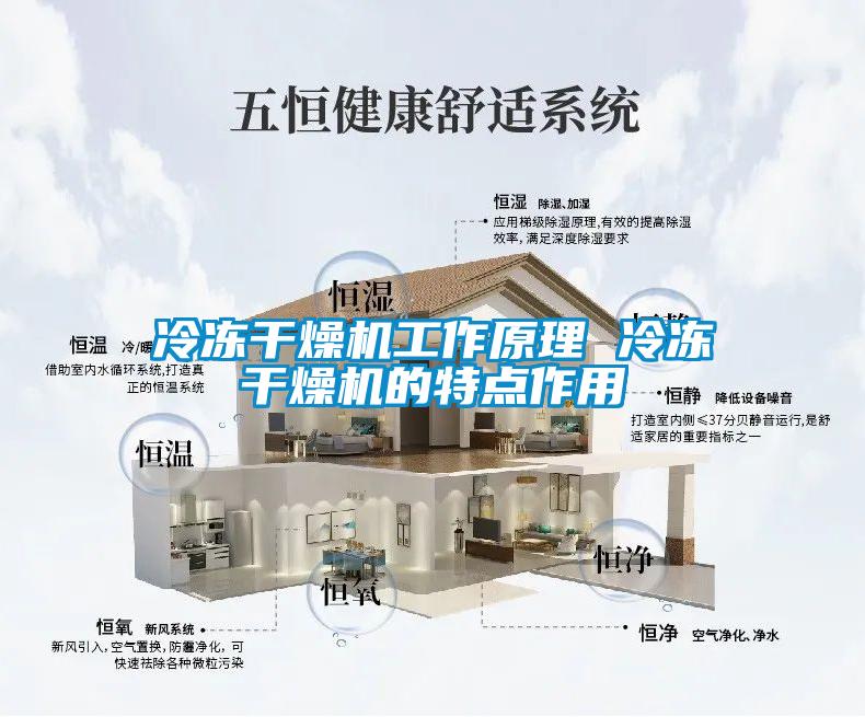 冷凍干燥機(jī)工作原理 冷凍干燥機(jī)的特點(diǎn)作用