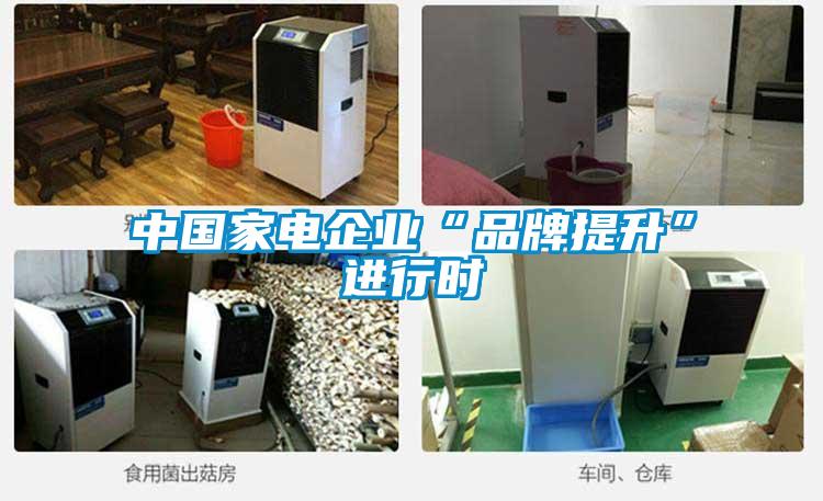 中國家電企業(yè)“品牌提升”進行時