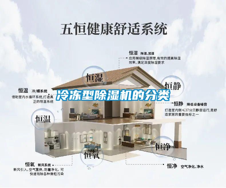 冷凍型除濕機(jī)的分類