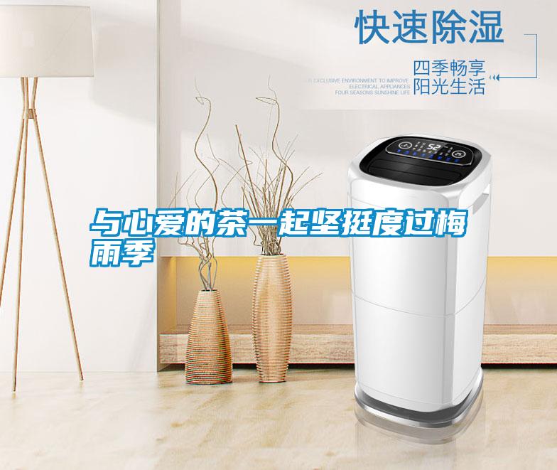 與心愛的茶一起堅(jiān)挺度過梅雨季