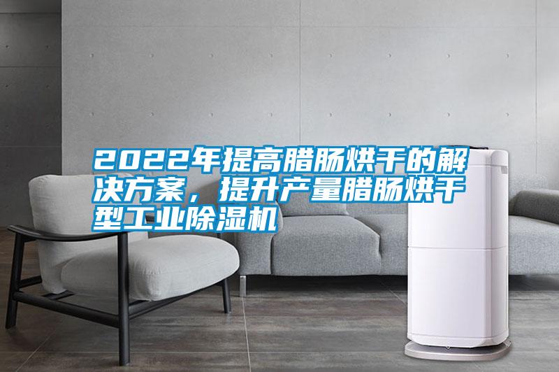 2022年提高臘腸烘干的解決方案，提升產(chǎn)量臘腸烘干型工業(yè)除濕機