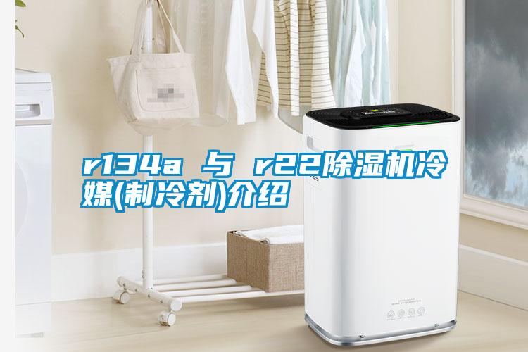 r134a 與 r22除濕機(jī)冷媒(制冷劑)介紹