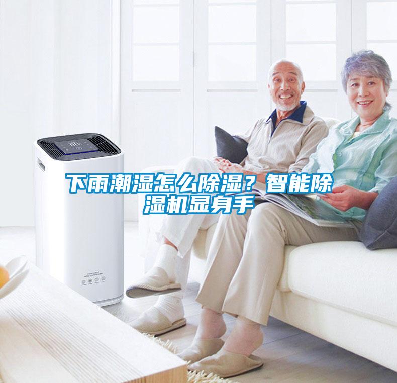 下雨潮濕怎么除濕？智能除濕機(jī)顯身手