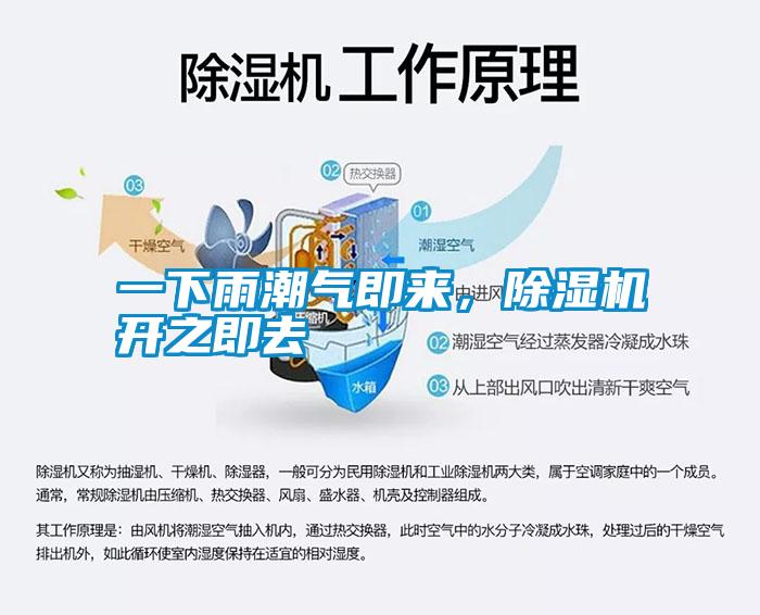 一下雨潮氣即來，除濕機開之即去