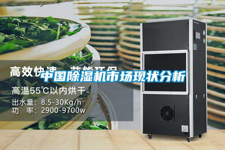 中國除濕機市場現(xiàn)狀分析