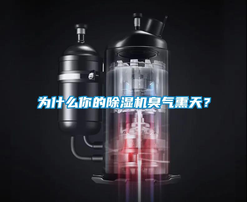 為什么你的除濕機(jī)臭氣熏天？