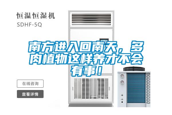 南方進(jìn)入回南天，多肉植物這樣養(yǎng)才不會(huì)有事！
