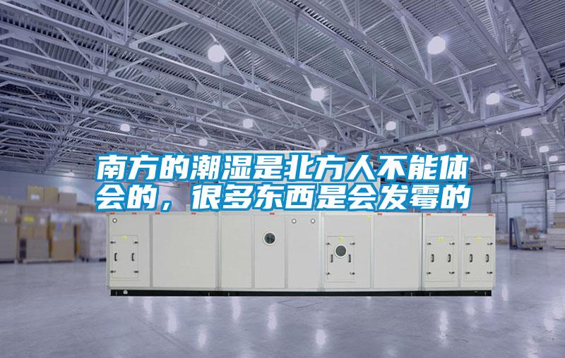 南方的潮濕是北方人不能體會的，很多東西是會發(fā)霉的