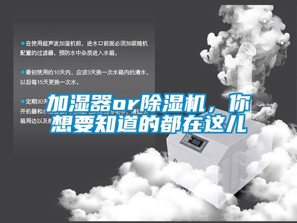 加濕器or除濕機，你想要知道的都在這兒