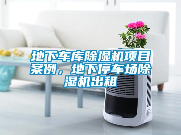 地下車庫除濕機項目案例，地下停車場除濕機出租