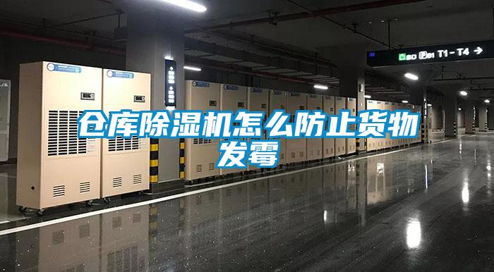 倉庫除濕機怎么防止貨物發(fā)霉