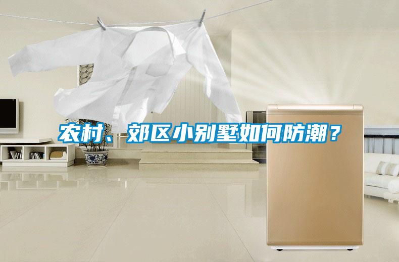 農(nóng)村、郊區(qū)小別墅如何防潮？