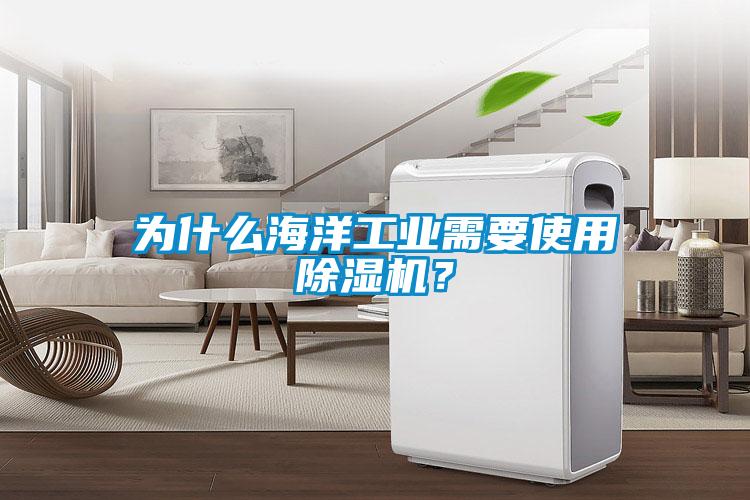 為什么海洋工業(yè)需要使用除濕機(jī)？
