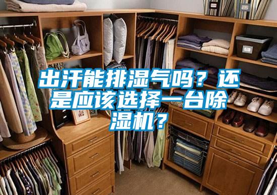 出汗能排濕氣嗎？還是應(yīng)該選擇一臺(tái)除濕機(jī)？
