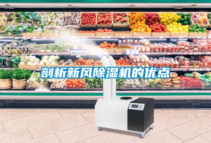 剖析新風(fēng)除濕機(jī)的優(yōu)點(diǎn)