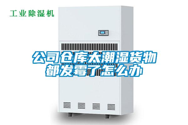 公司倉(cāng)庫太潮濕貨物都發(fā)霉了怎么辦