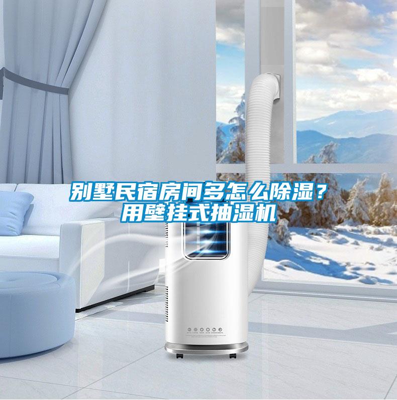 別墅民宿房間多怎么除濕？用壁掛式抽濕機