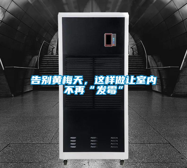 告別黃梅天，這樣做讓室內(nèi)不再“發(fā)霉”