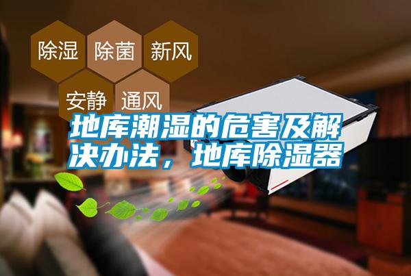 地庫潮濕的危害及解決辦法，地庫除濕器