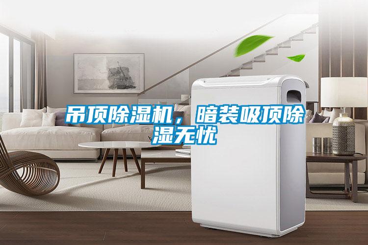 吊頂除濕機(jī)，暗裝吸頂除濕無憂