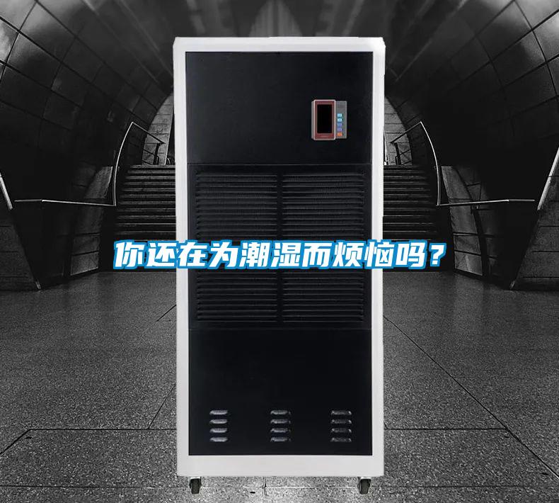 你還在為潮濕而煩惱嗎？
