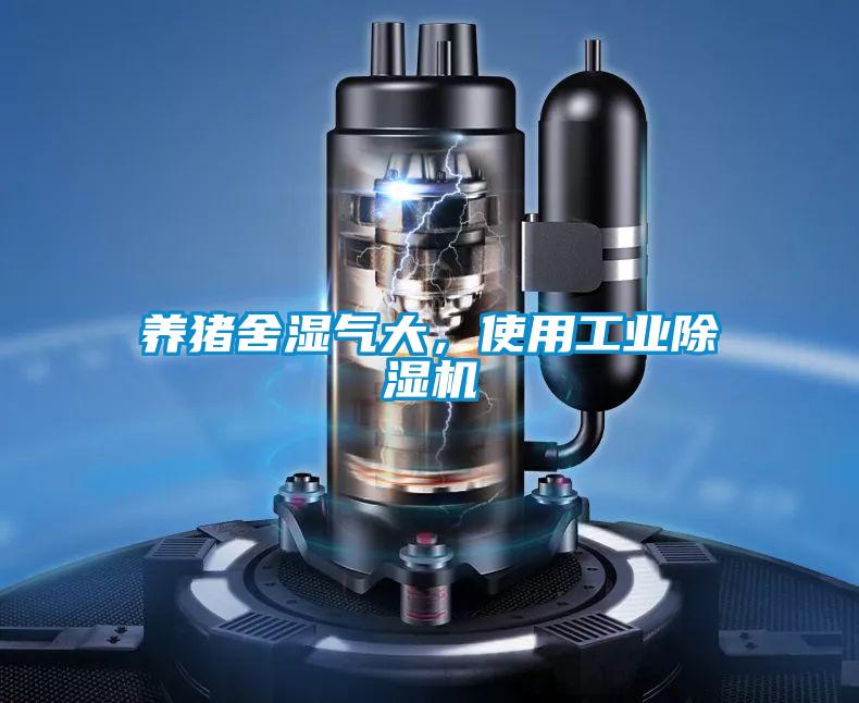 養(yǎng)豬舍濕氣大，使用工業(yè)除濕機(jī)