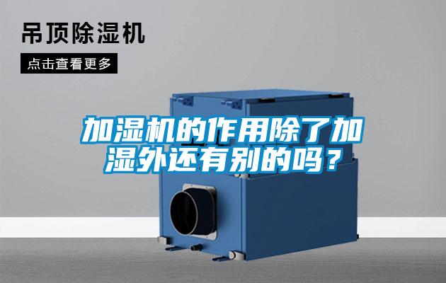 加濕機的作用除了加濕外還有別的嗎？