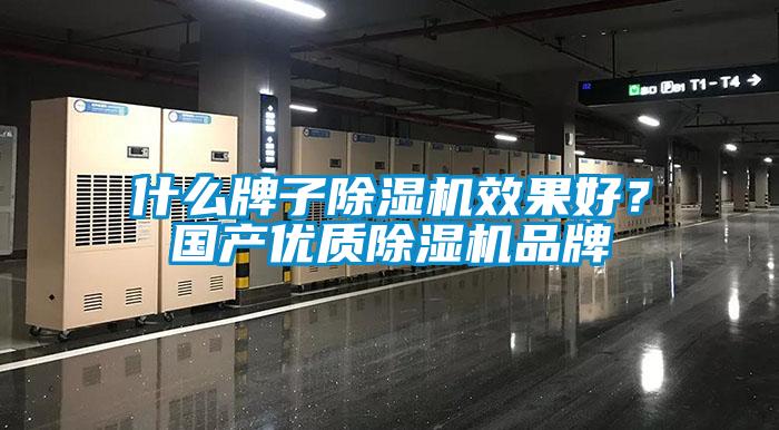 什么牌子除濕機(jī)效果好？國(guó)產(chǎn)優(yōu)質(zhì)除濕機(jī)品牌