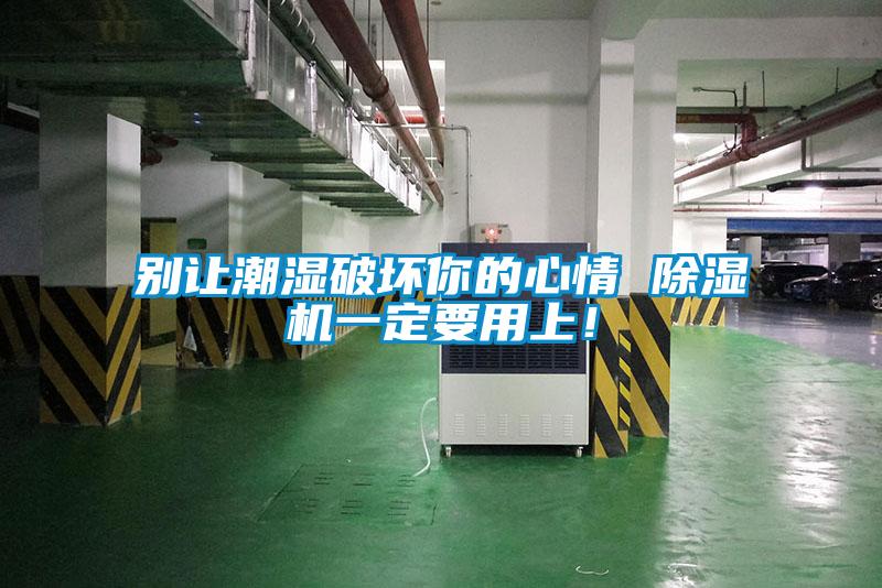 別讓潮濕破壞你的心情 除濕機一定要用上！