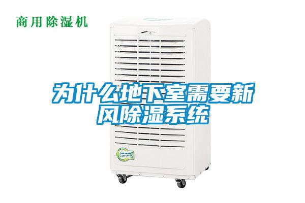 為什么地下室需要新風除濕系統(tǒng)