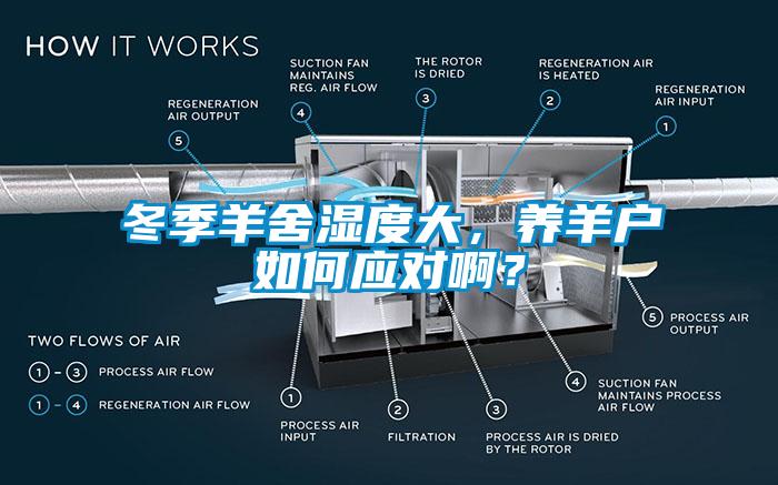 冬季羊舍濕度大，養(yǎng)羊戶如何應(yīng)對(duì)??？
