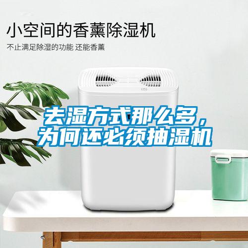去濕方式那么多，為何還必須抽濕機(jī)