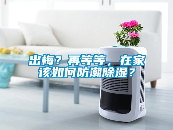 出梅？再等等，在家該如何防潮除濕？
