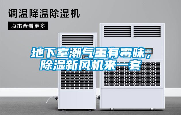 地下室潮氣重有霉味，除濕新風(fēng)機(jī)來(lái)一套