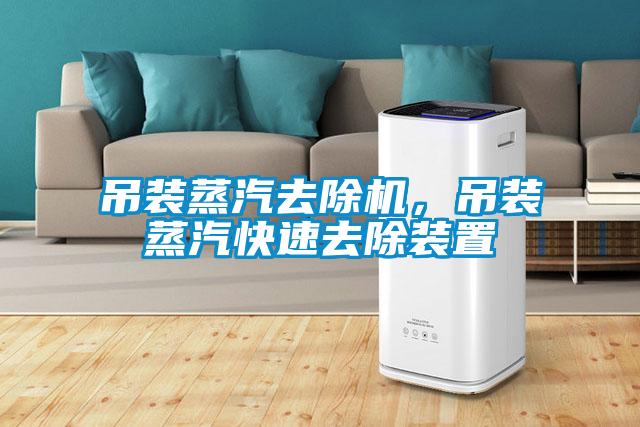 吊裝蒸汽去除機(jī)，吊裝蒸汽快速去除裝置