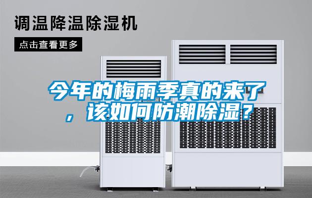 今年的梅雨季真的來了，該如何防潮除濕？