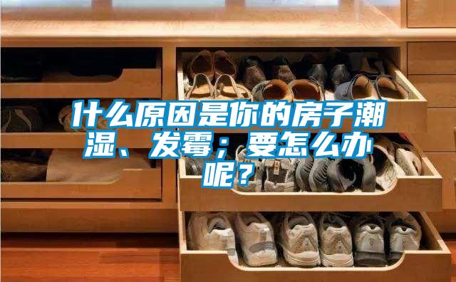什么原因是你的房子潮濕、發(fā)霉；要怎么辦呢？